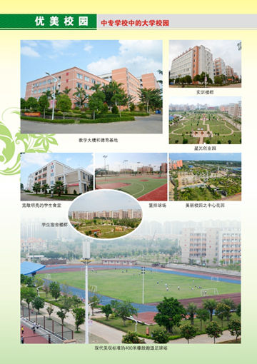 leyu乐鱼·官方web站登录入口2016年招生简章6